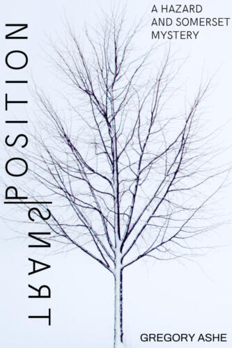 Transposition (Hazard and Somerset #2) by Gregory Ashe