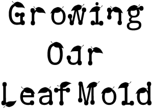 Growing Our Leaf Mold